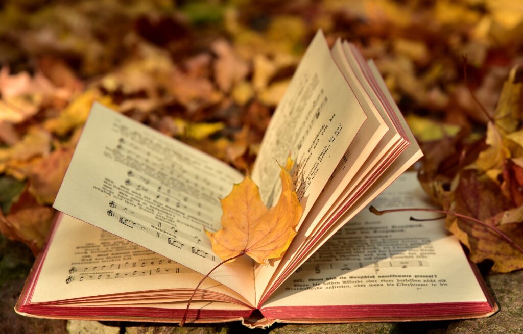 Liederbuch im Herbstlaub