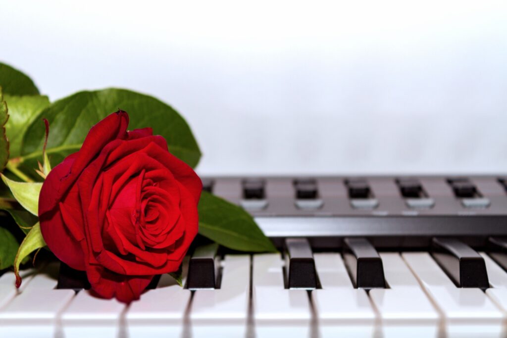 Rose auf Keyboard